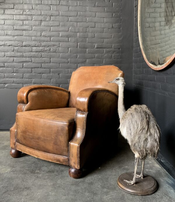 Art deco cognac kleur lederen club fauteuil