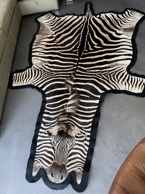 Beautiful zebra skin finished with thick felt.