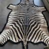 Beautiful zebra skin finished with thick felt.