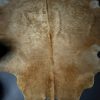 Top quality cowhide. Top quality cowhide.