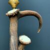 Geweilamp, Staande lamp gemaakt van edelhert geweien