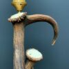 Geweilamp, Staande lamp gemaakt van edelhert geweien