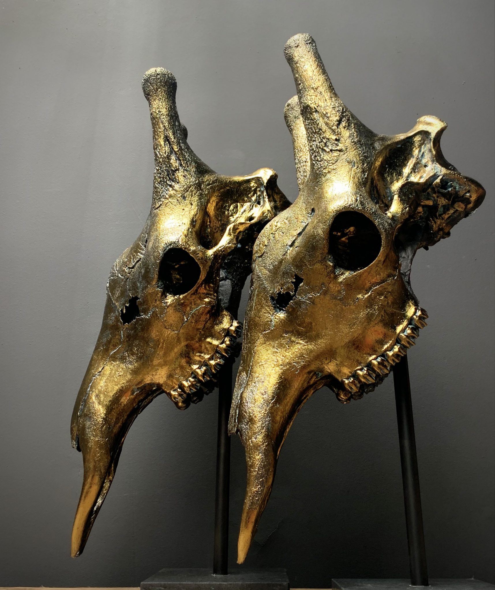Set of 2 giraffe skulls bronze BEAST Interiors