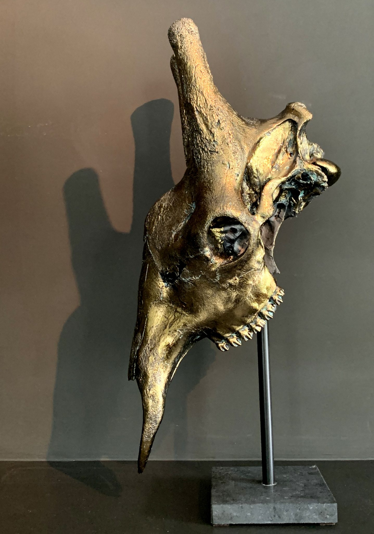 Set of 2 giraffe skulls bronze BEAST Interiors