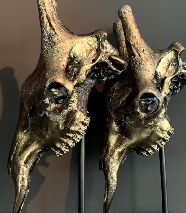Set giraffe schedels verbronst.