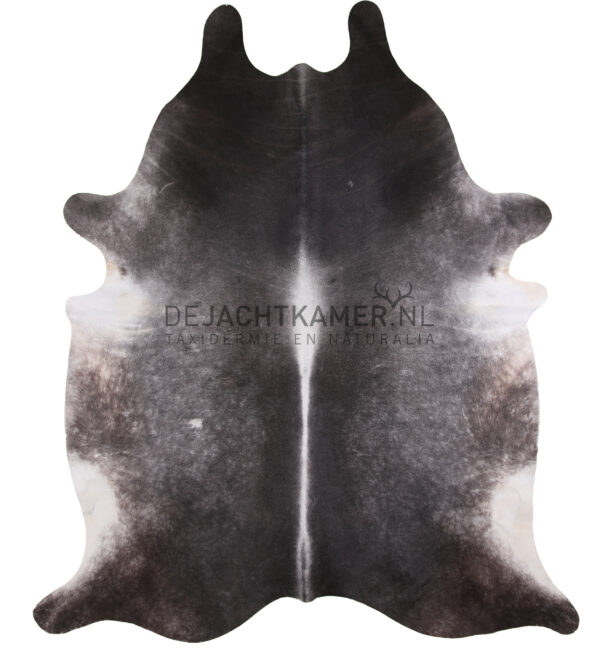 Grey cowhide XXL