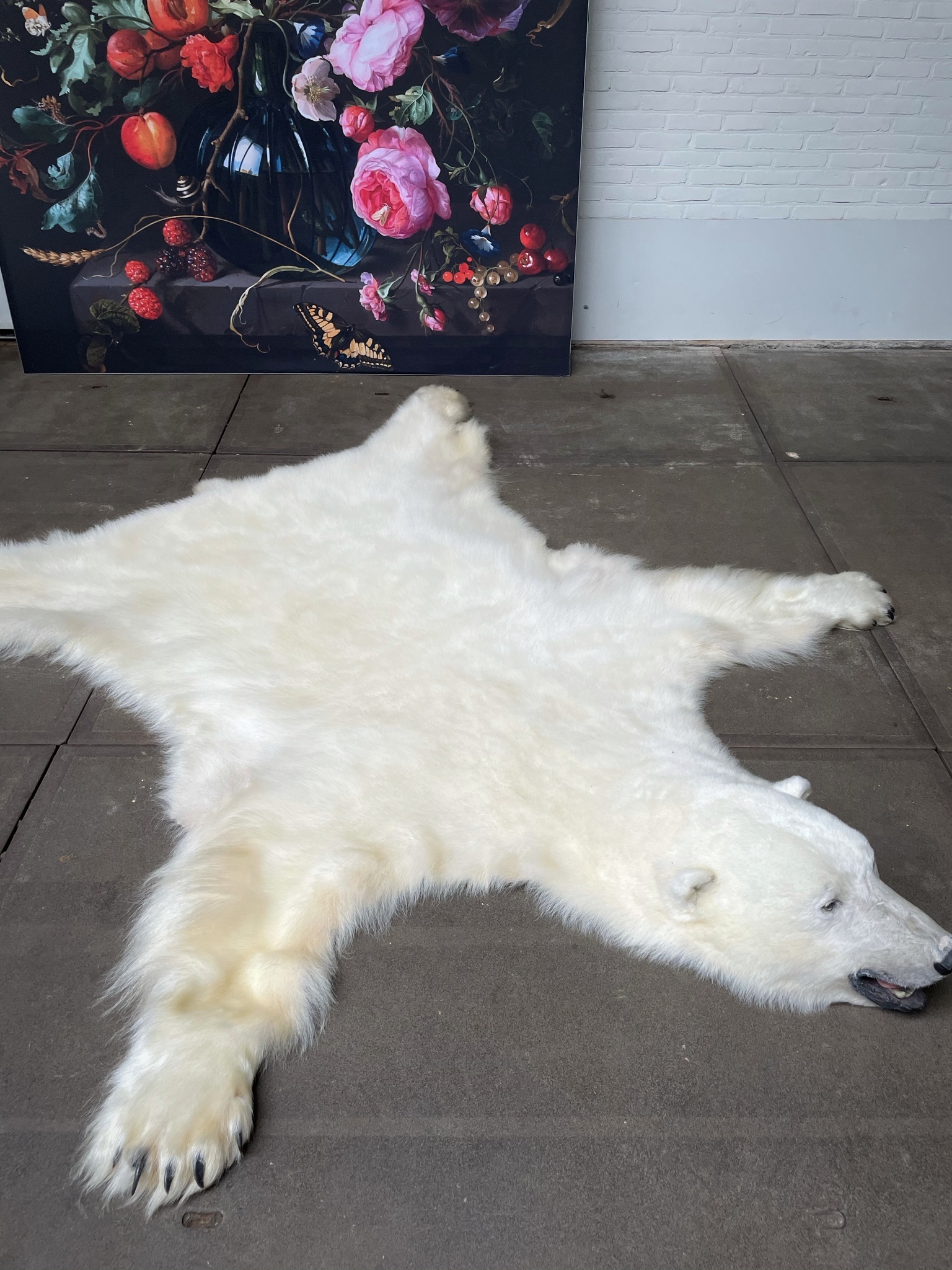 Polar bear coat for sale deals