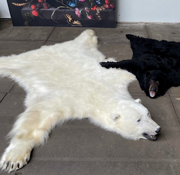 Prachtige wintervacht van een grote ijsbeer