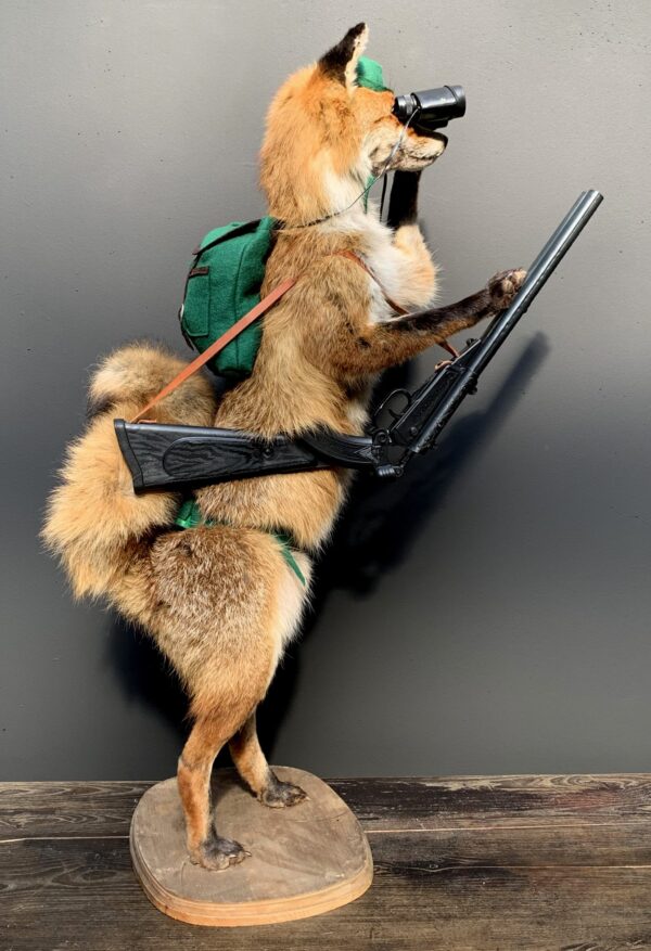 Ausgestopfter fuchs als Jäger