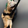 Ausgestopfter fuchs als Jäger