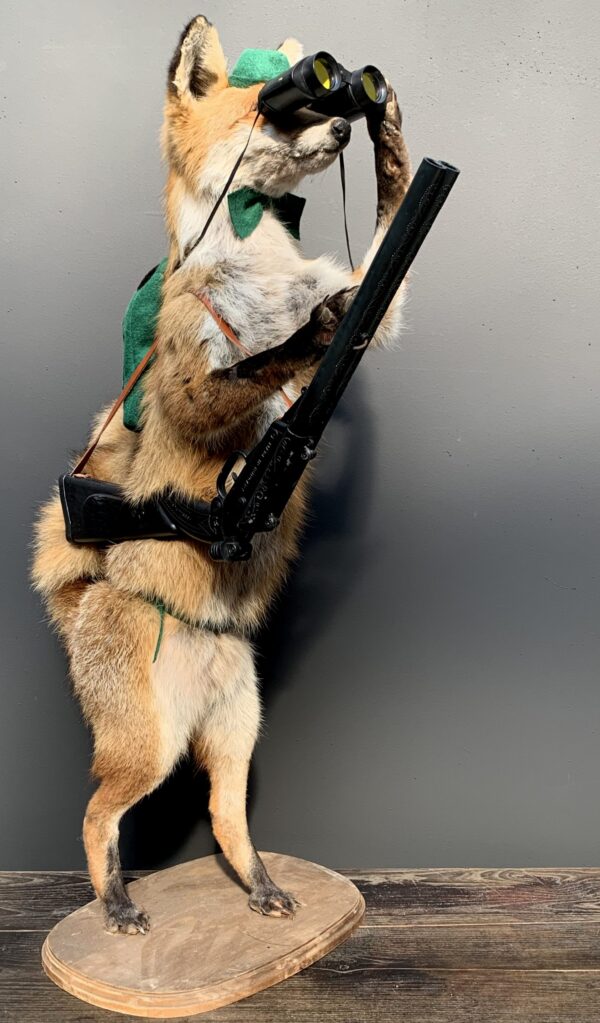 Ausgestopfter fuchs als Jäger