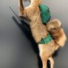 Ausgestopfter fuchs als Jäger