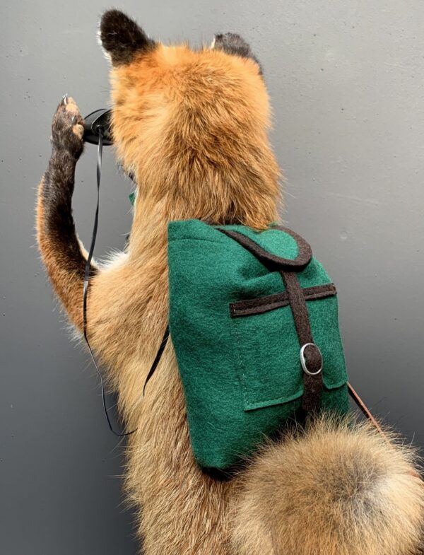 Ausgestopfter fuchs als Jäger