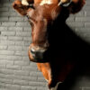 Taxidermy Red Cow