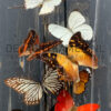 Antique dome filled with a mix of colourful butterflies (autumn shades)