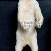Recently stuffed polar bear