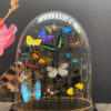 Antique dome filled with a mix of colourful butterflies (autumn shades)