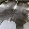 Grey cowhide XXL