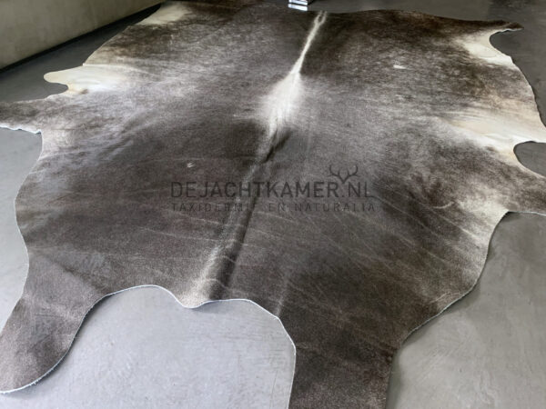 Grey cowhide XXL