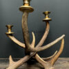 Red deer antler candlestick M