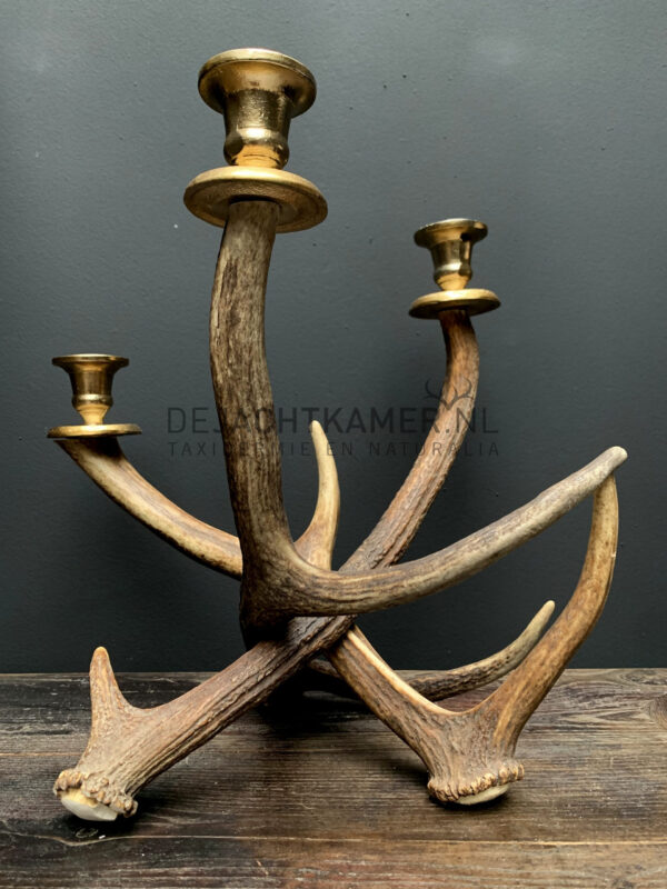 Red deer antler candlestick M