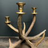 Red deer antler candlestick M