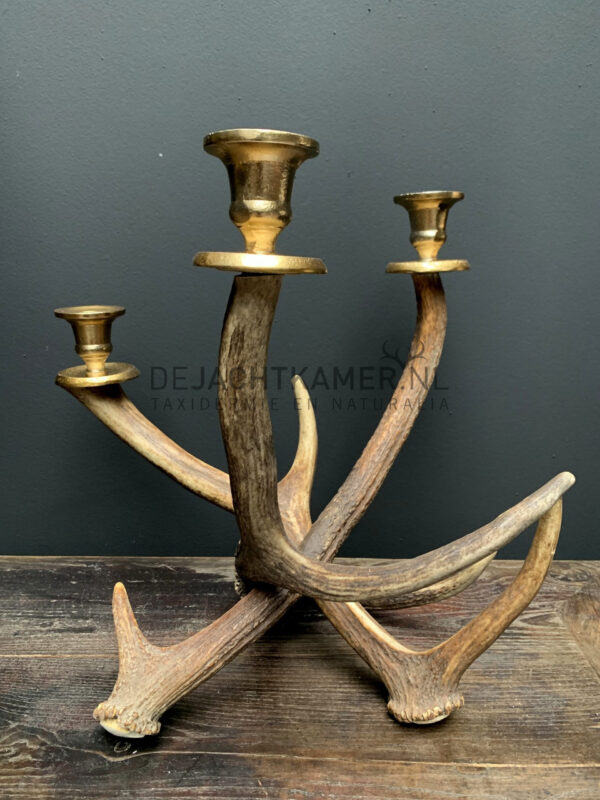 Red deer antler candlestick M