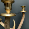 Red deer antler candlestick M