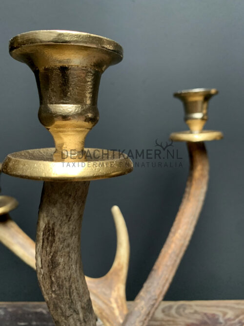 Red deer antler candlestick M