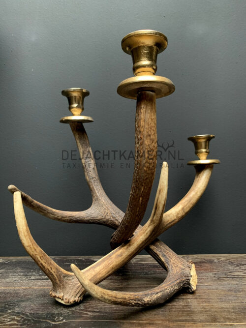 Red deer antler candlestick M