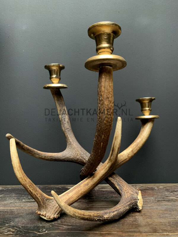 Red deer antler candlestick M