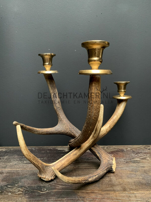 Red deer antler candlestick M