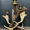 Fallow deer antler candlestick M