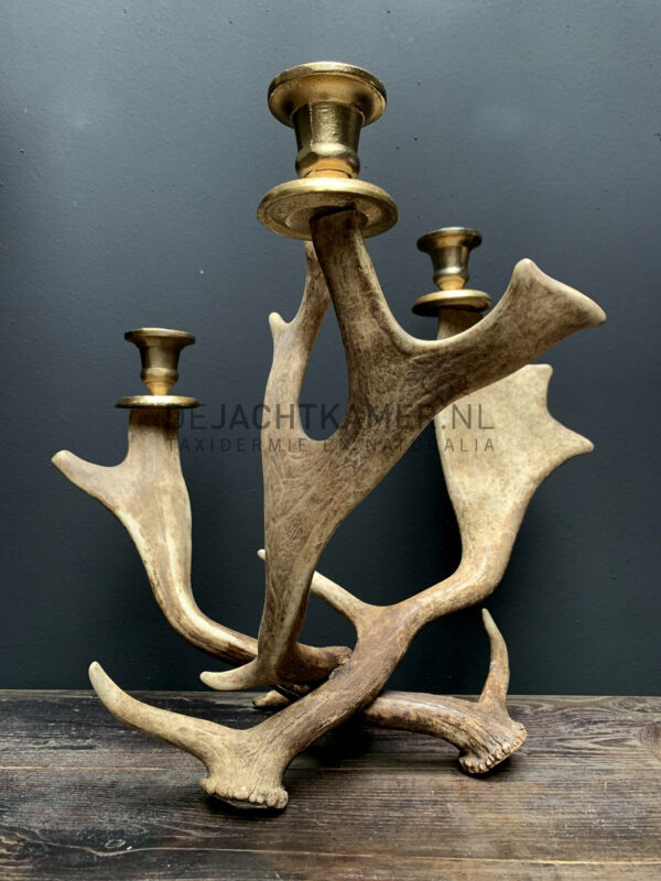 Fallow deer antler candlestick M