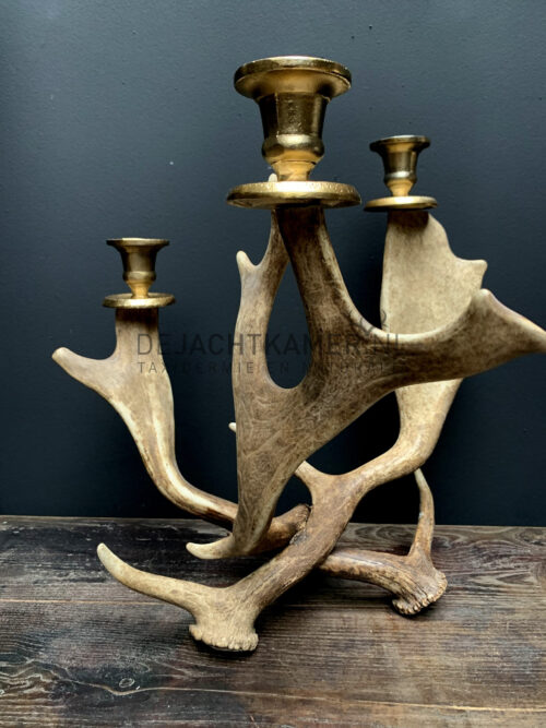 Fallow deer antler candlestick M