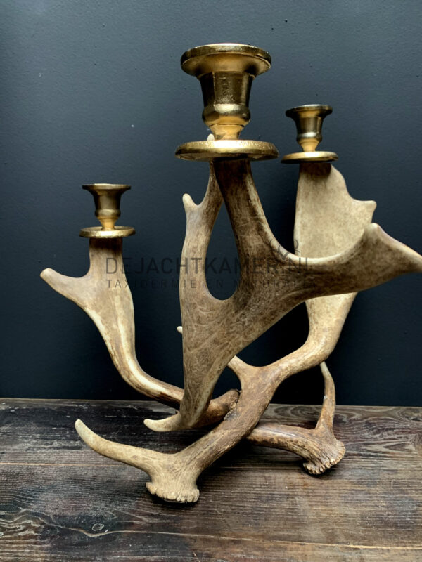 Fallow deer antler candlestick M