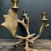 Fallow deer antler candlestick M