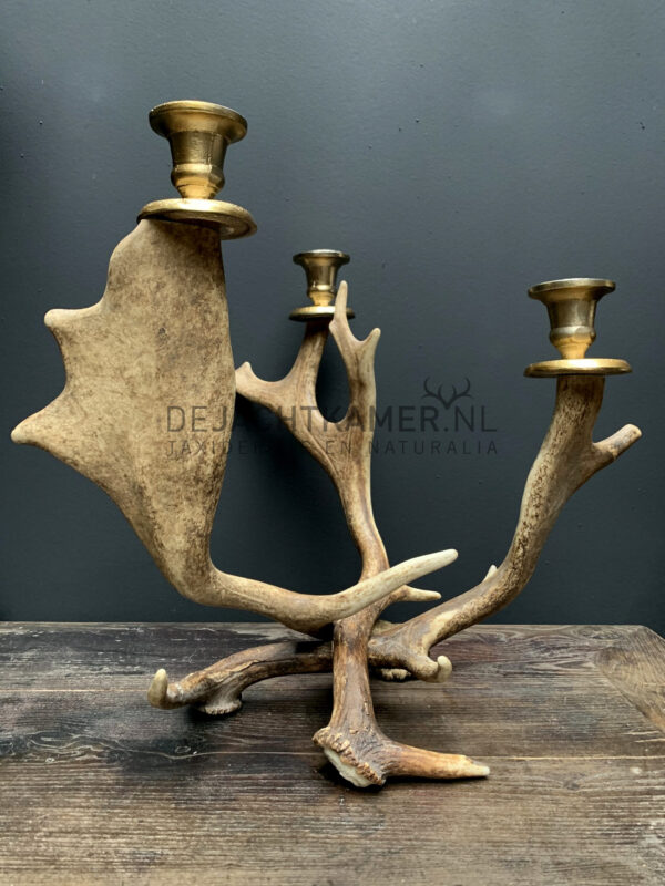 Fallow deer antler candlestick M