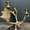 Fallow deer antler candlestick M