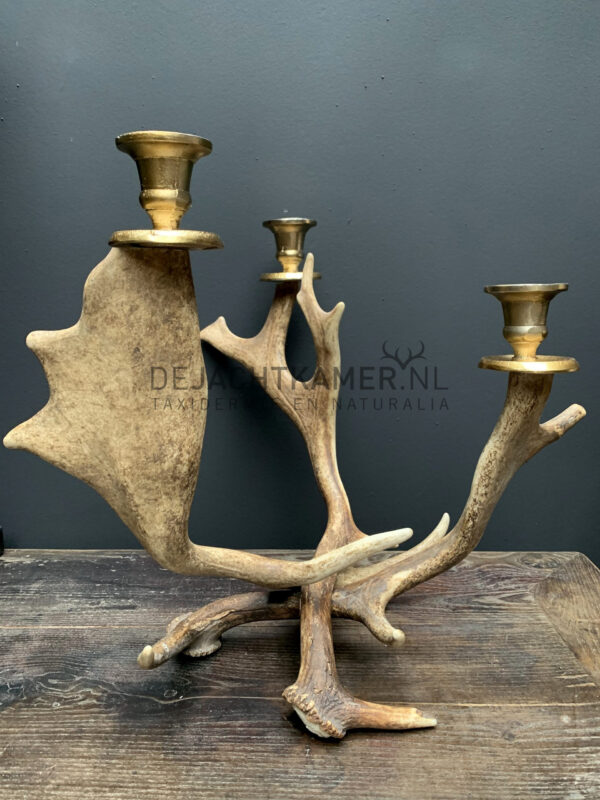 Fallow deer antler candlestick M