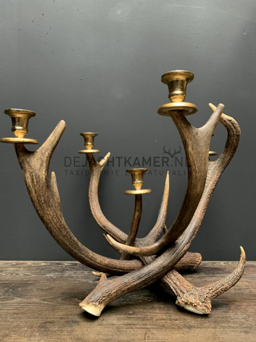 Red deer antler candlestick L