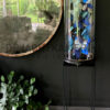 XXL bell jar with blue and white morpho butterflies