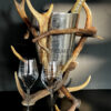 Champagne cooler made of antlers