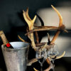 Champagne cooler made of antlers