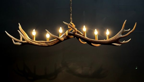 geweilamp van edelhert geweien