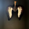 Taxidermy young crane