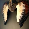 Taxidermy young crane