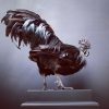 Opgezette Cemani haan. Opgezette haan