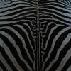 Zebrahuid met zwart vilt