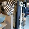 Zebra shouldermount on a wooden pedestal